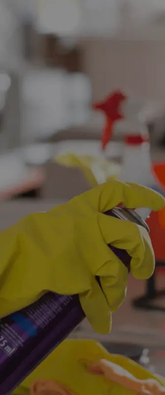 Cleaners Available in Port Allen